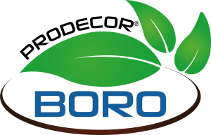 BORO LOGO