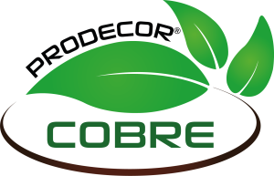 COBRE LOGO