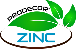 LOGO ZINC